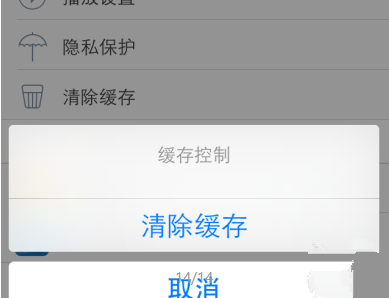 暴风影音缓存文件(5)