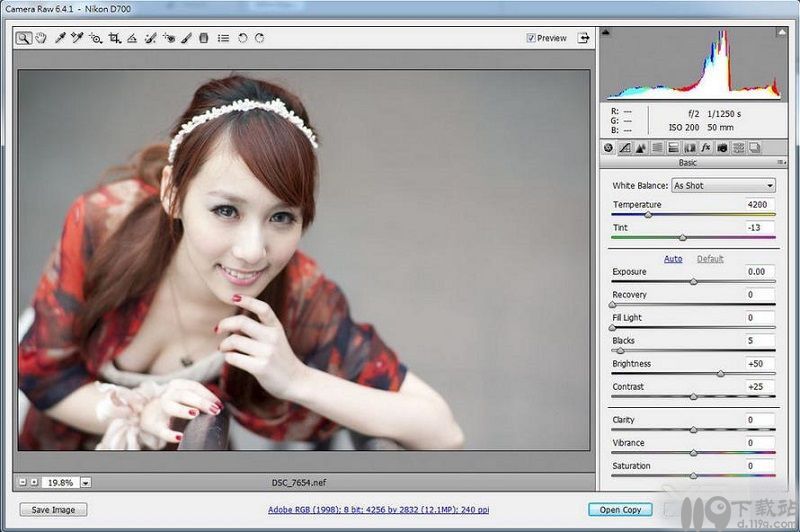 图像处理Adobe Camera Raw下载