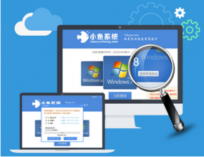 【重装系统】小鱼一键重装系统软件V5.1官方版