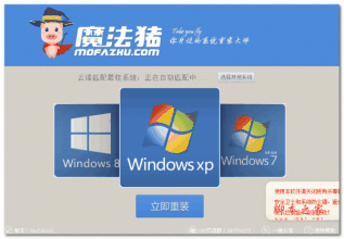 魔法猪一键重装系统win8