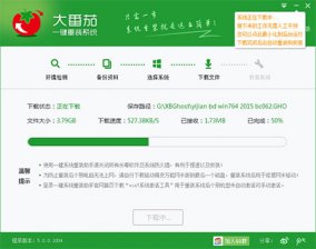 大番茄重装系统下载可以暂停或者关闭吗