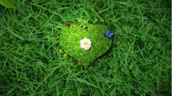 小白重装系统之防火墙出现漏洞