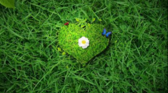 小白重装系统之防火墙出现漏洞怎么办