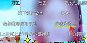 pps影音弹幕是什么pps影音弹幕有什么用