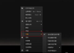PPS影音可以添加字幕吗PPS影音如何添加字幕