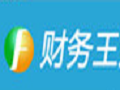 财务王财务王迷你版