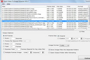BatchVideoToImageExtractor