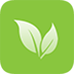 文件窗口合并工具银叶树最新版下载