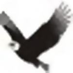 鹰翔思维导图软件绿色版下载