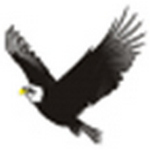 鹰翔思维导图软件官方版下载