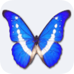 bkViewer数码照片浏览器免费版