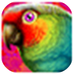 PolyView(看图软件)下载