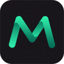 Mshow云导播电脑版下载