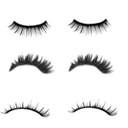 PS睫毛笔刷下载