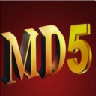 海鸥MD5字典碰撞解密工具