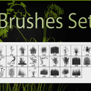 PS植物剪影笔刷