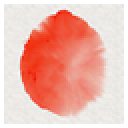 水墨水彩绘画软件Expresii下载