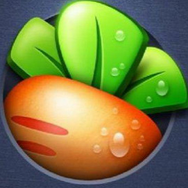 萝卜菜系统重装大师