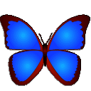 数码照片浏览bkViewer