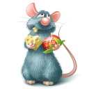 风月影楼客片照片打乱器