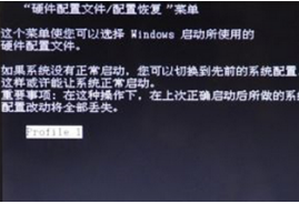 win7开机出现Profile 1无法进入系统怎么办 通用u盘装win7系统教程