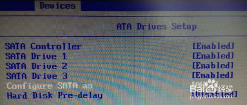 u盘装xp系统后蓝屏(3)