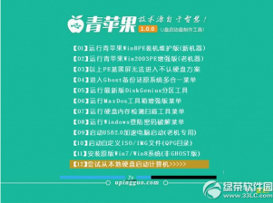 【U盘装系统】青苹果u盘启动盘制作软件v5.0中文版