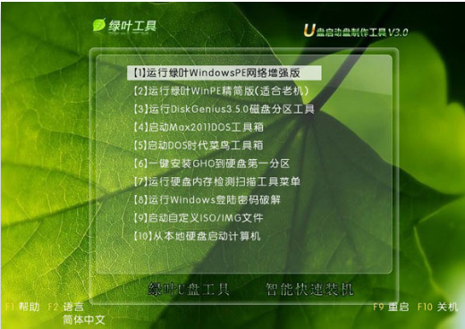 绿叶u盘装系统XP(6)
