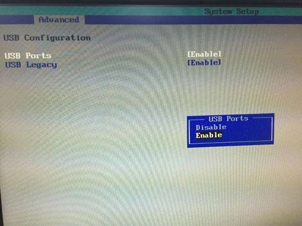 进入pe鼠标键盘失灵(1)