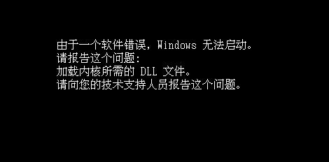 软件错误windows无法启动