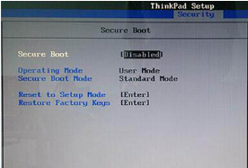 Thinkpad笔记本无法uefi启动进入pe(2)