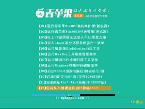 【U盘装系统】青苹果u盘启动盘制作软件下载v5.1纯净版