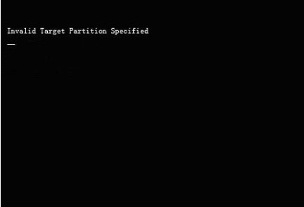 invalid target partition specified错误