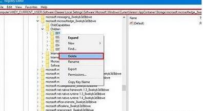 edge浏览器闪退(1)