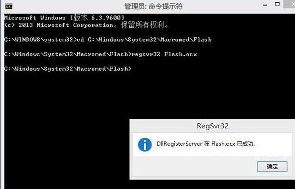 flash插件加载失败(2)