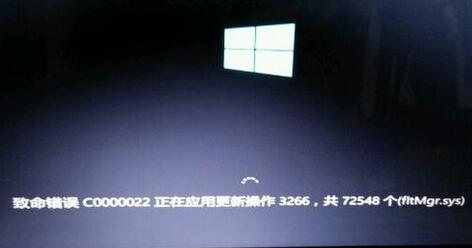 致命错误c0000022