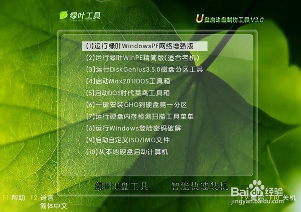 绿叶u盘启动盘制作工具v4.0(1)