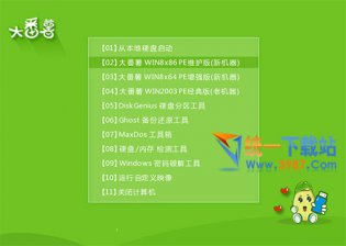 【U盘装系统】大番薯u盘启动盘制作软件v4.5官方版下载