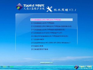 【U盘装系统】天意u盘启动盘制作工具v3.17中文免费版