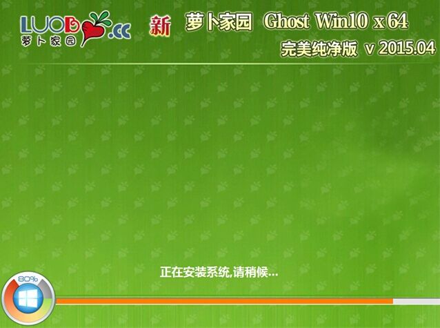 u盘装萝卜家园win10系统(5)