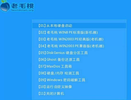 惠普205g1笔记本设置u盘启动(2)