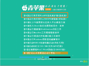 惠普pavilion15如何用青苹果u盘装系统win10