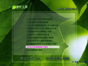 【U盘装系统】绿叶u盘启动盘制作工具下载v3.18官方标准版