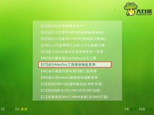 大白菜u盘工具CPHD克隆磁盘操作方法