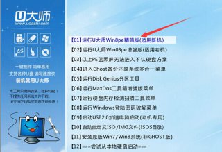 怎么用u大师u盘安装win7和win10双系统