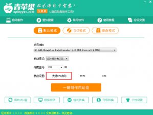 如何用青苹果u盘装番茄花园win8系统