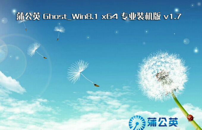 u盘装蒲公英win8.1系统(3)