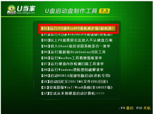 戴尔Inspiron灵越15怎么用u当家u盘装win10系统