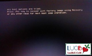 萝卜家园u盘装系统提示All boot options are tried怎么办