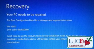 萝卜家园u盘如何解决win10系统recovery蓝屏问题